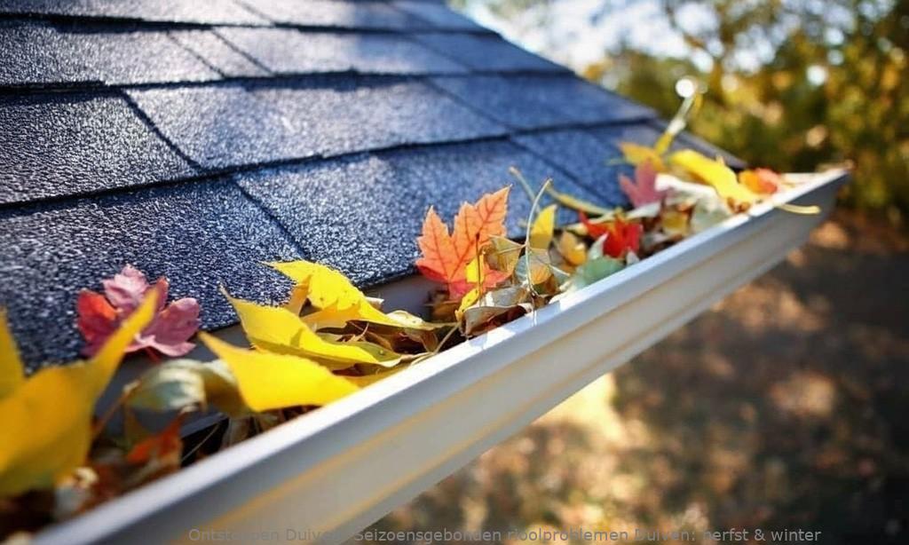 Seizoensgebonden rioolproblemen Duiven: herfst & winter