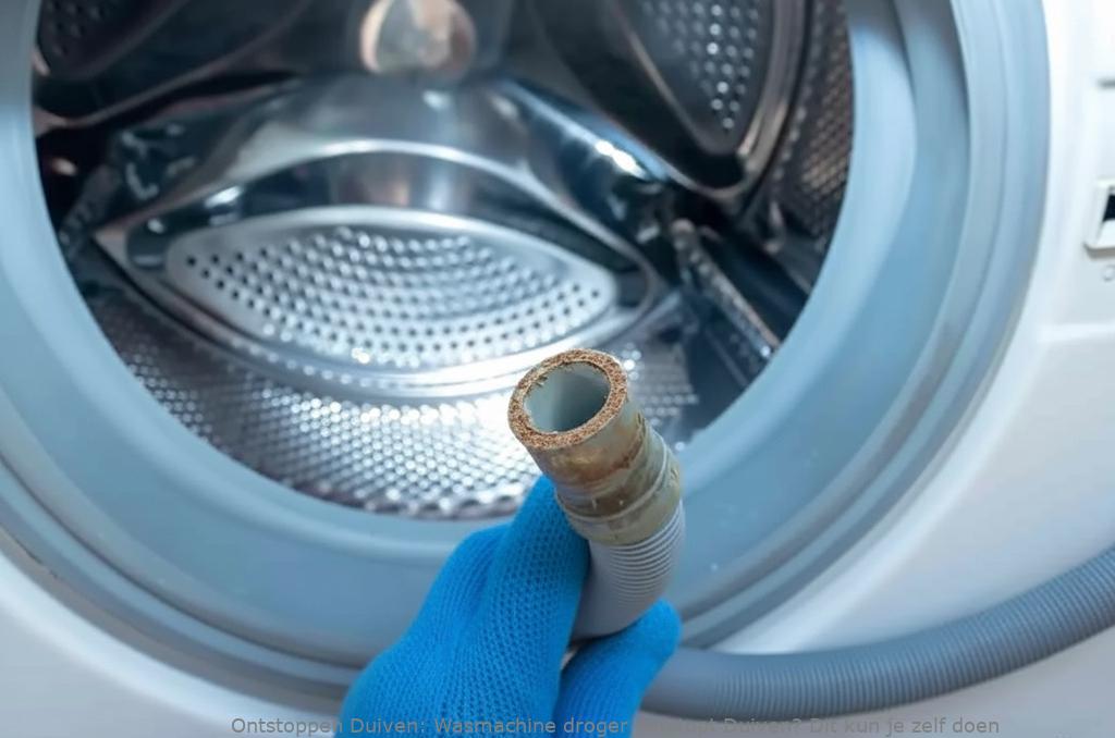 Wasmachine droger verstopt Duiven? Dit kun je zelf doen